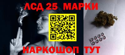 прущие грибы Краснознаменск