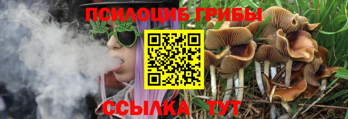 Галлюциногенные грибы MAGIC MUSHROOMS Будённовск